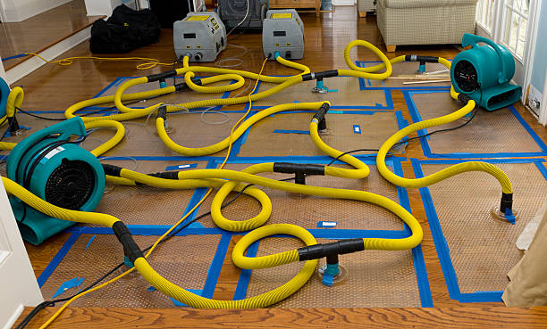 Professional Water Damage Restoration technician working in University Park, IL